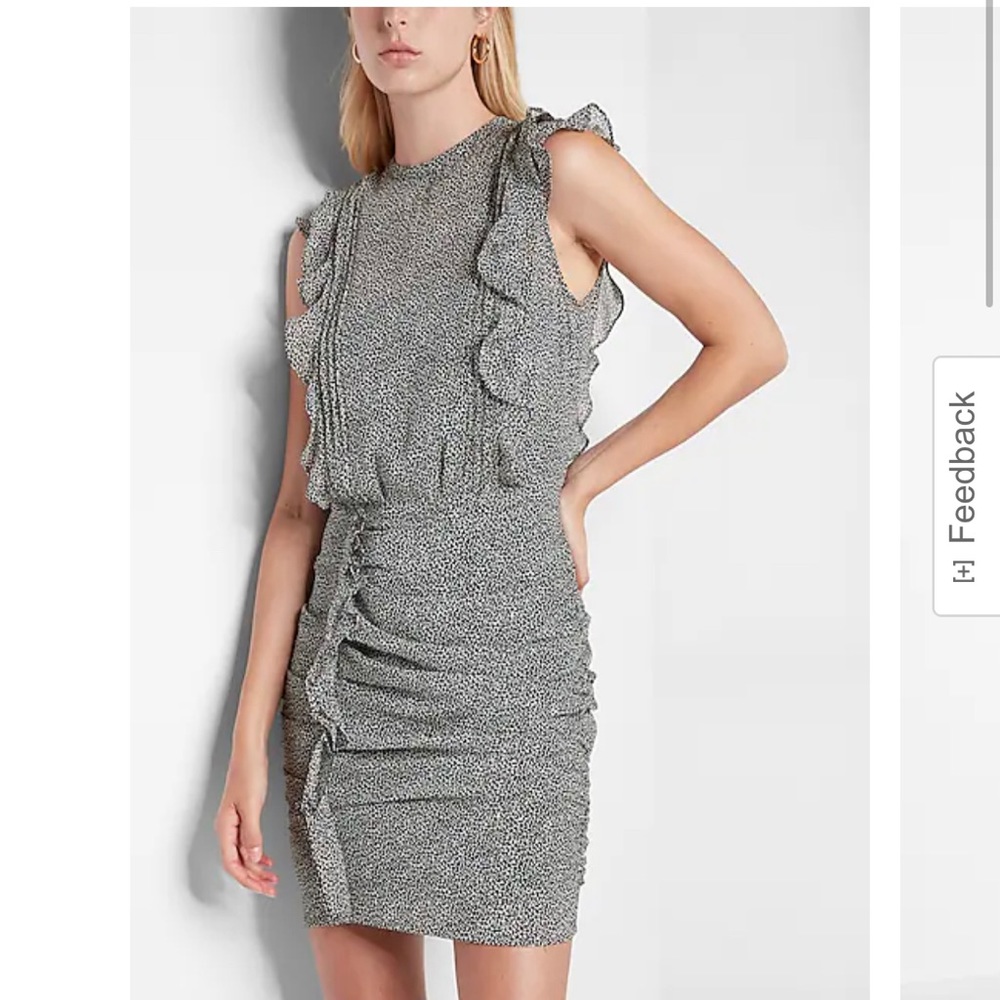 Express Animal Print Ruched Mini Dress. Worn once. Great, new condition.